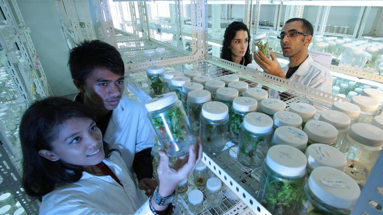 laboratory-385349_1280